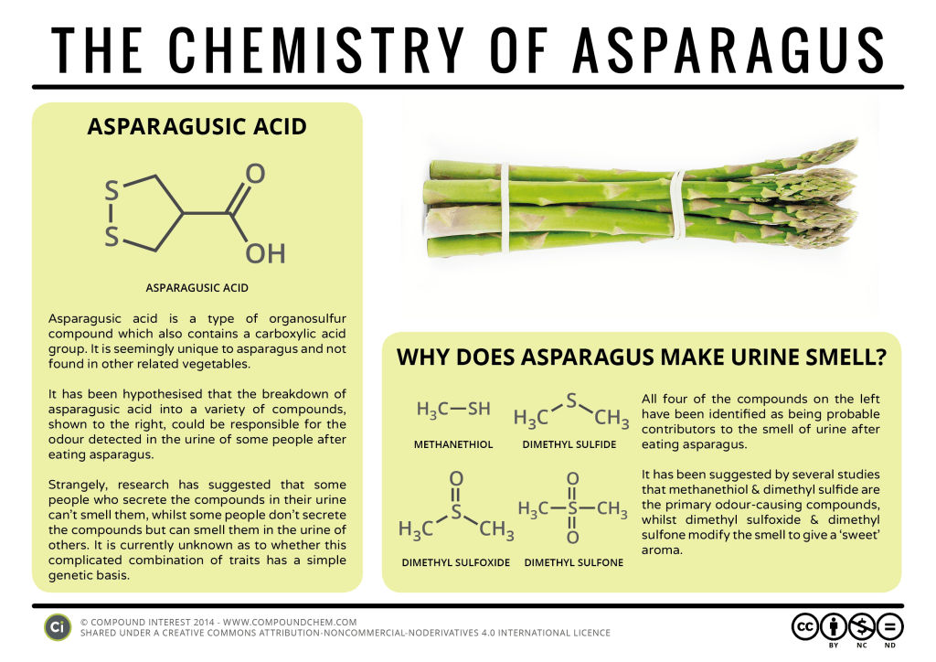 why-does-asparagus-make-urine-smell