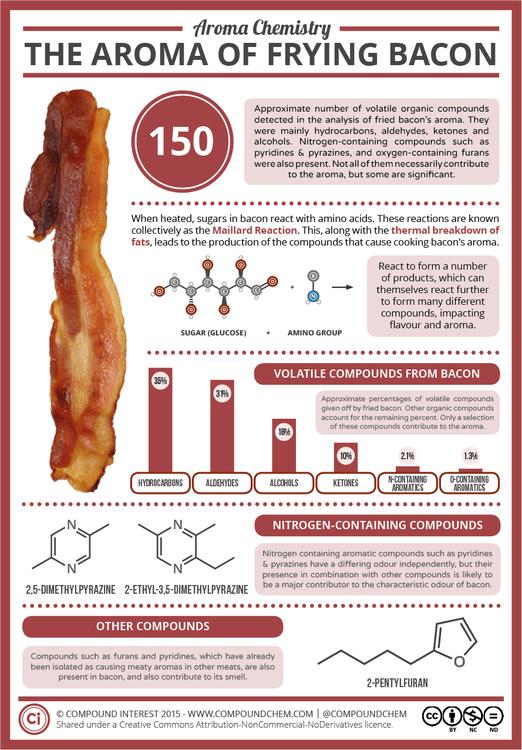 Why Does Bacon Smell So Good?