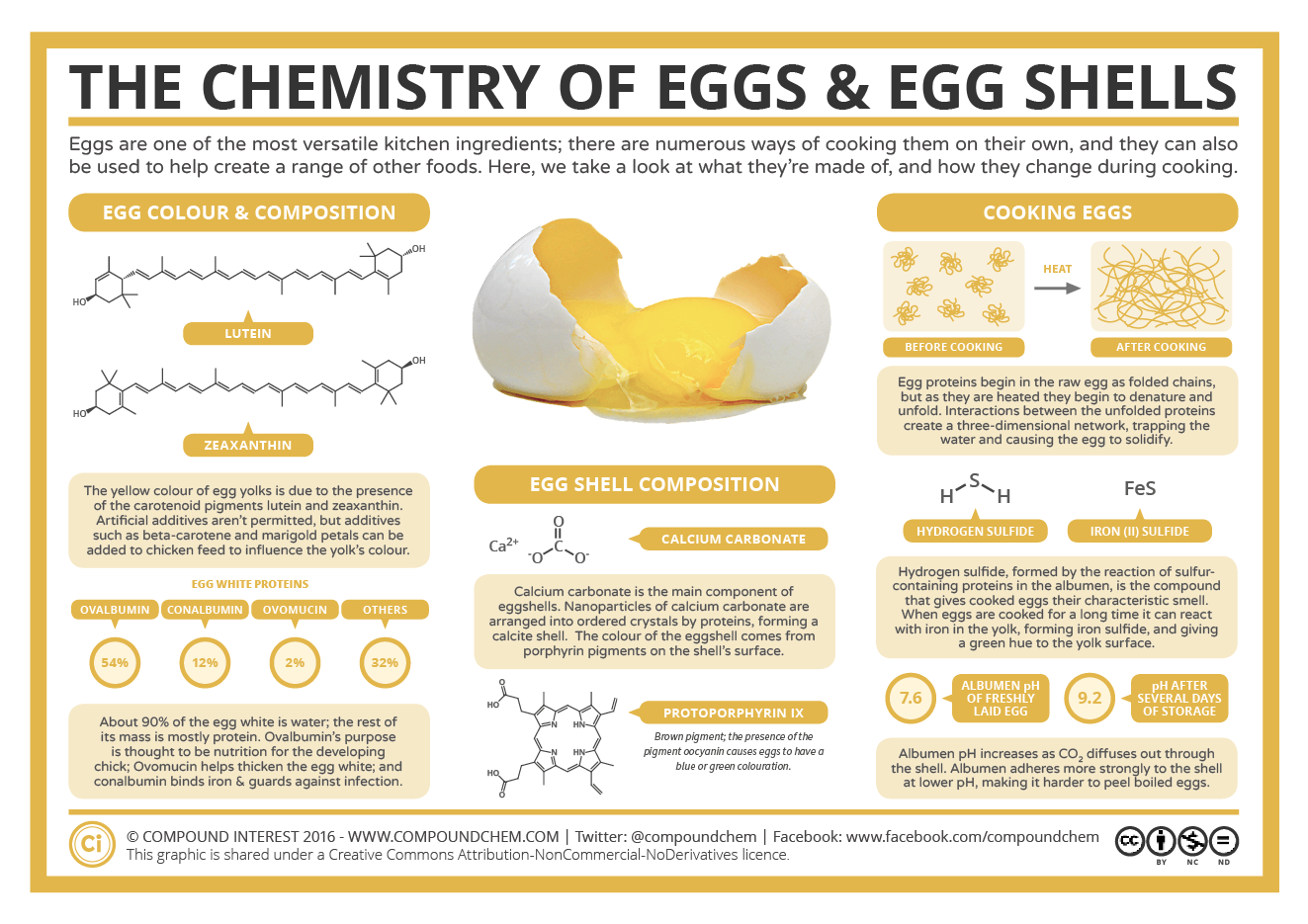What Makes The Color Of An Egg Shell at Michael Chappell blog