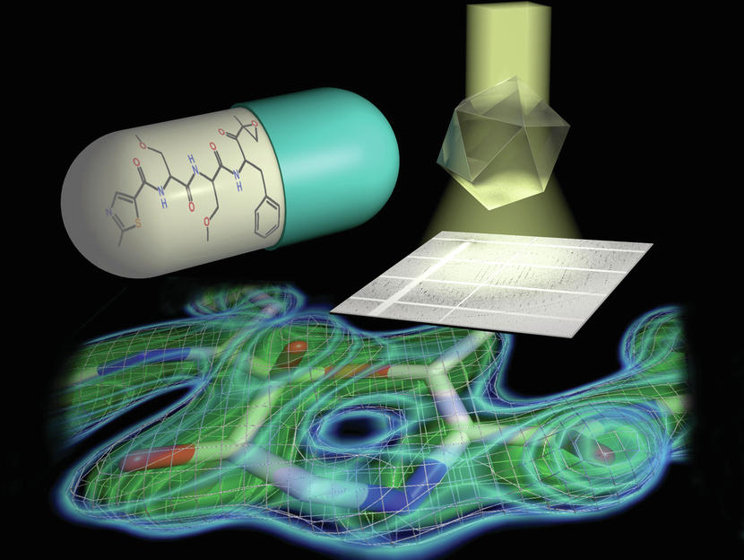 Detailed structure of cell’s garbage disposal unit reveals surprise in
