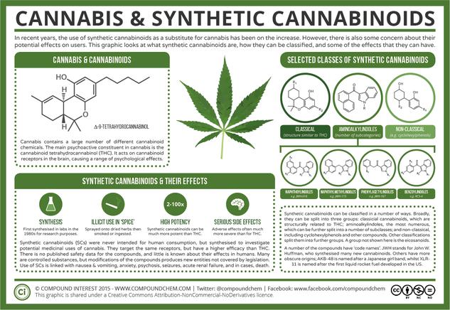 The Chemistry Of Cannabis & Synthetic Cannabinoids